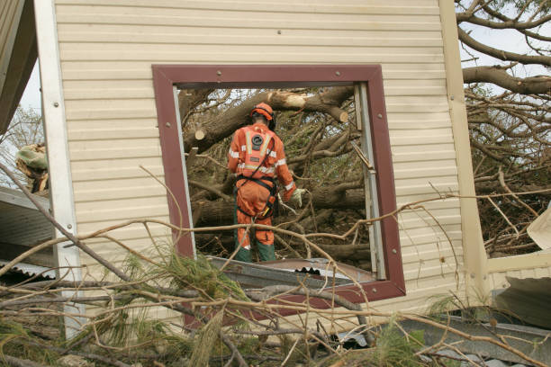 Best Utility Line Clearance  in Denmark, SC